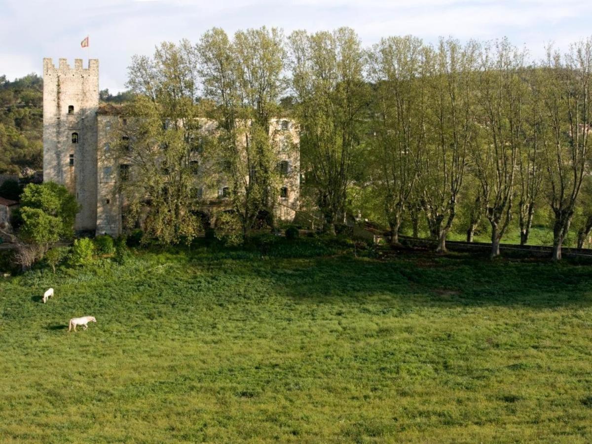 Chateau D'esparron * Esparron-de-Verdon
